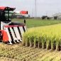 Berikut Teknologi Pertanian Jepang Paling Mutakhir