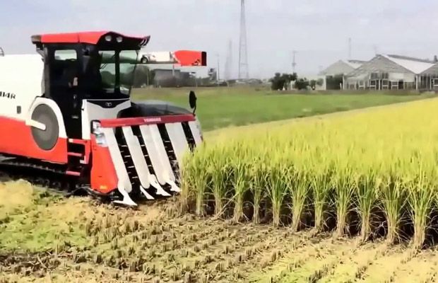Berikut Teknologi Pertanian Jepang Paling Mutakhir