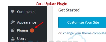 Cara Update Plugin Wordpress