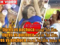 tigres vs pachuca girl video ให้พรtigres vs pachuca tigres vs pachuca girl twitter